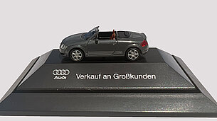 Audi TT Roadster von Rietze